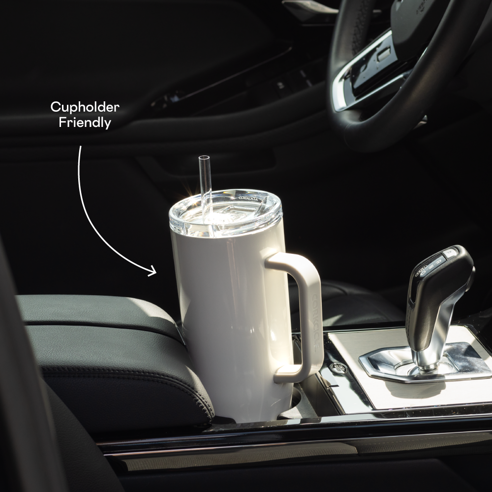 Cruiser - Daily Cup R3