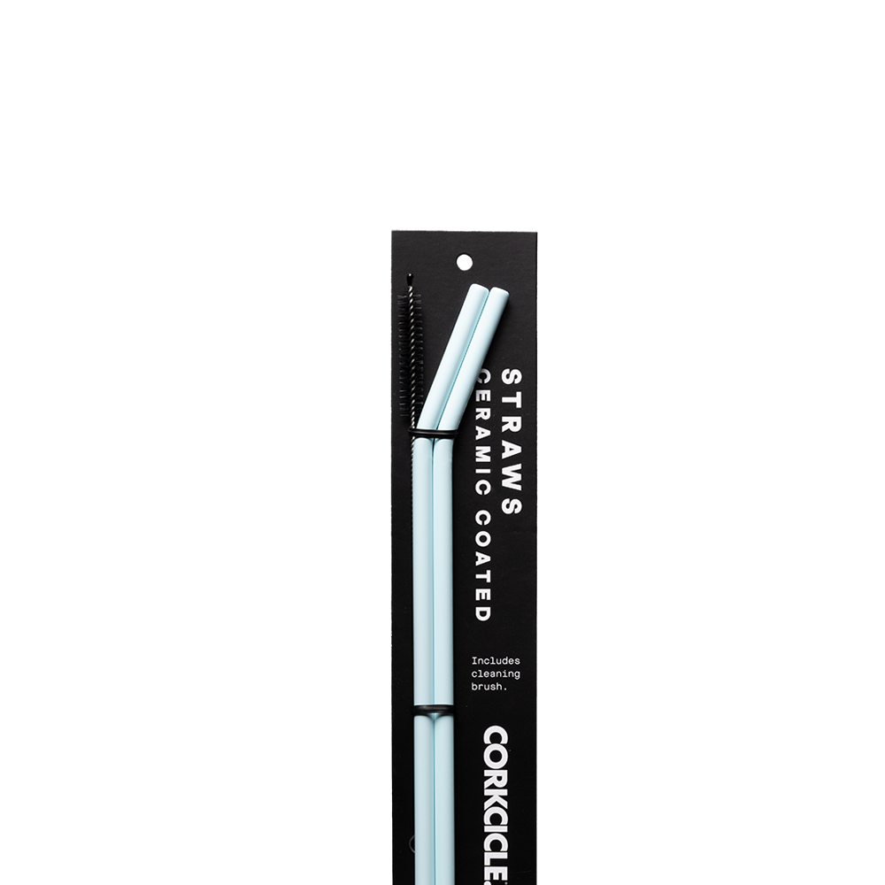 Ceramic Coated Straw Set - Handy Choice S1 - Straw Set / Ceramic Powder Blue