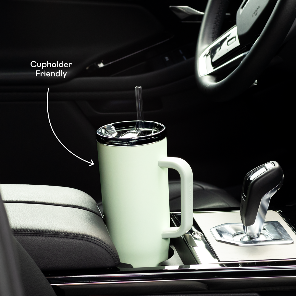 Cruiser - Daily Cup R3