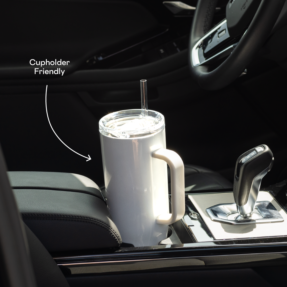 Cruiser - Daily Cup R3