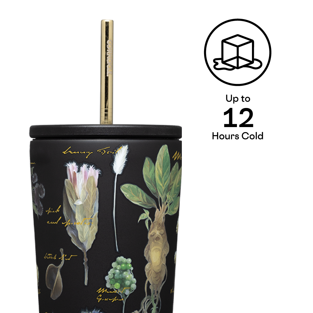 Harry Potter Cold Cup - Versatile Beverage Q3