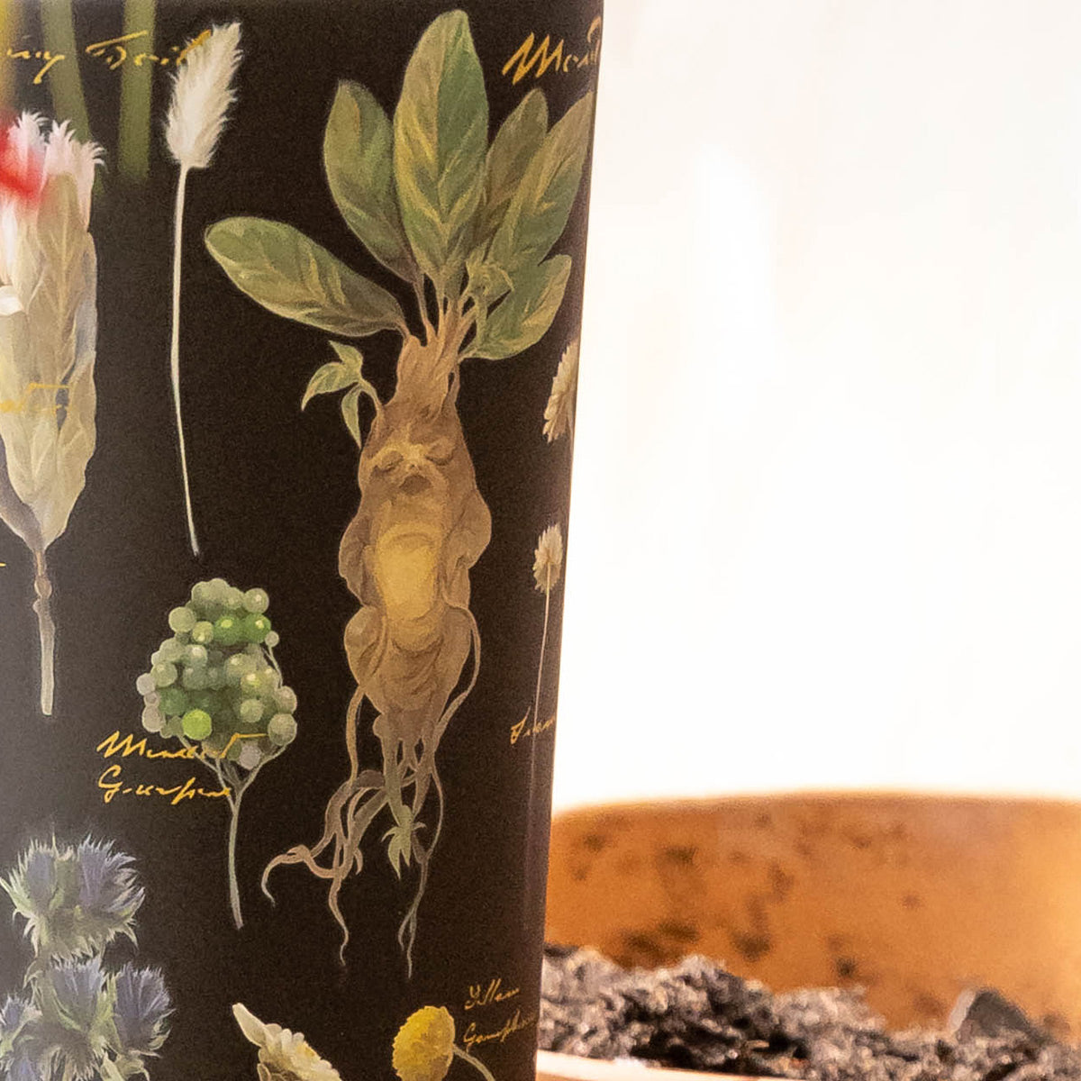 Harry Potter Cold Cup - Versatile Beverage Q3