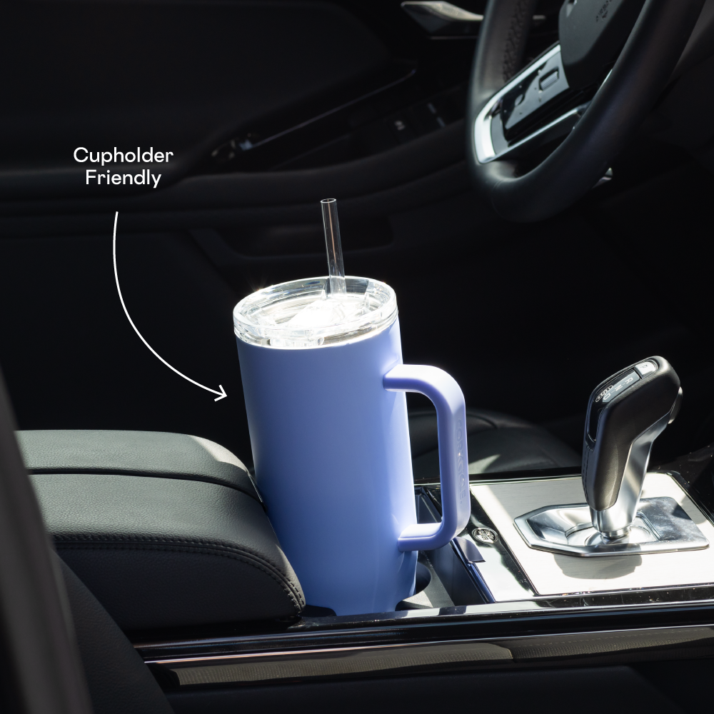Cruiser - Daily Cup R3